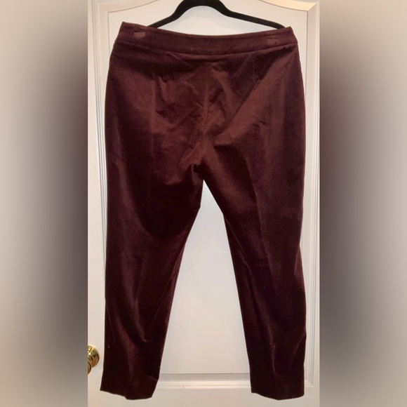 Talbots Velour Ankle Pants, 10p, Curvy Fit, Gorgeous, Rich Brown, Pull-On Style - Picture 2 of 3